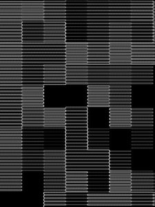 verborgen structuur, 2017 door Alex Caminker